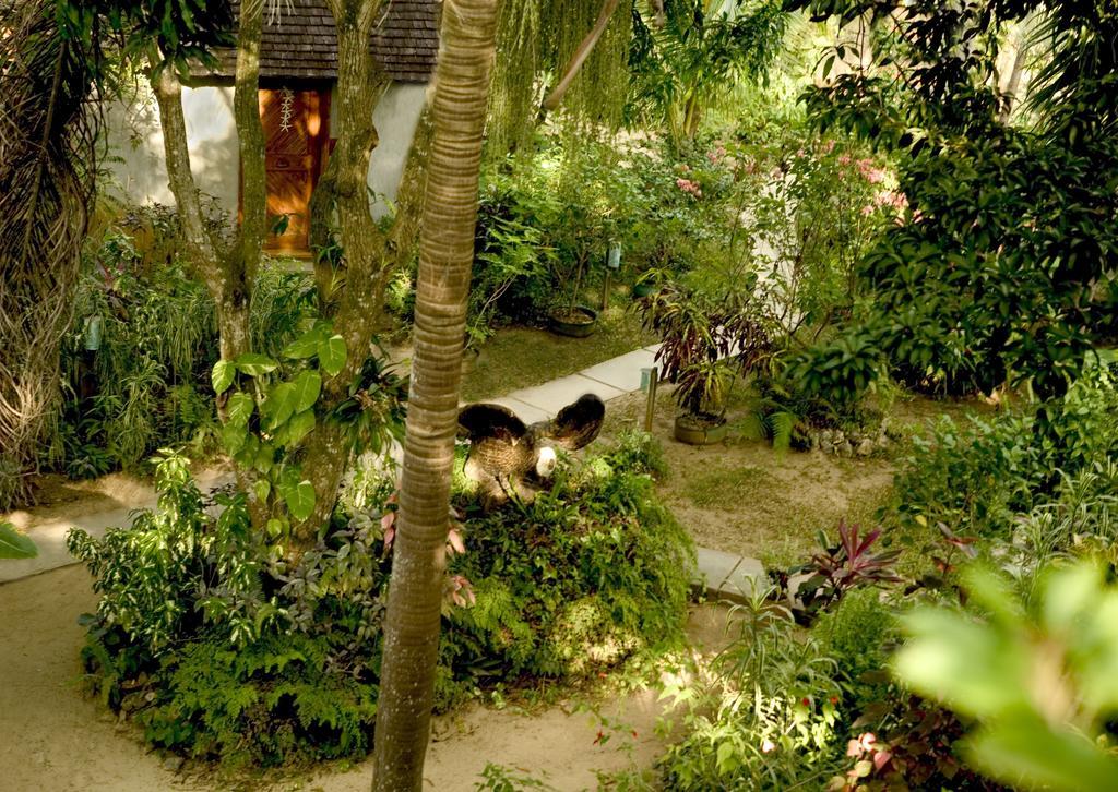 Whistling Bird Hotel Negril Ngoại thất bức ảnh