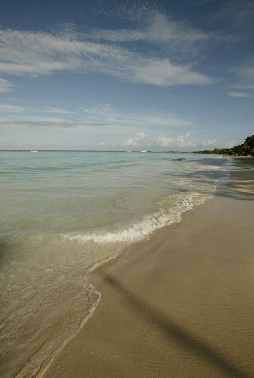 Whistling Bird Hotel Negril Ngoại thất bức ảnh